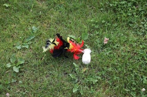 2024-08-19-Gouden-Speld-00004